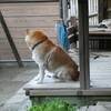 発達障害なのカモしれない…算数障害って