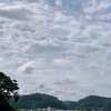 梅雨の晴れ間には日を浴びて