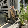 看板が無くなる