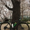 背水の陣