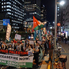 Peace For Palestine 11.29 Urgent Action in Shinjuku パレスチナに平和を！11･29緊急新宿デモ