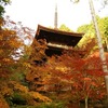 No.2857  湖東三山－紅葉の寺院巡り