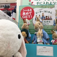 イトーヨーカドー ピーターラビットぬいぐるみポイント集めてget うさ次郎48劇場ぬいぐるみと暮らす生活 イトーヨーカドー ピーターラビットぬいぐるみポイント集めてget うさ次郎48劇場ぬいぐるみと暮らす生活