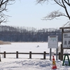 網走ならやっぱり呼人（よびと）なのか？濤沸湖（とうふつこ）と平和橋で探鳥してきたよ【網走流氷観光6】