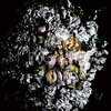 world's end girlfriend『MEGURI』 6.6