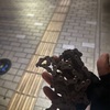 火曜　アラサイ断念　