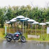 みずいろの雨