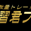 ＭＴ４裁量トレード練習君プレミアム～ロジックの優位性を検証できるFX練習ツール～