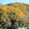 長瀞_紅葉（埼玉県秩父郡長瀞町）