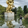 京都市美術館の庭園でいつものようにベントウをたべる。