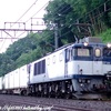 1095レ 鹿島貨物(EF64-1027)