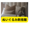 ぬいぐるみを断捨離→運気はどうなる？【断捨離】