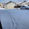 雪掻きしたょ！