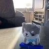 前と後ろとの会話
