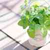 安定の美味しさ　久留米　正八郎うどんへ