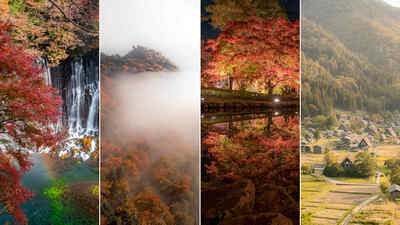 紅葉に魅せられたフォトグラファーのオススメ紅葉絶景撮影スポット７選 – 東海地方の個性豊かな魅力を引き出すコツ