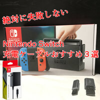 注意 Nintendo Switchの充電ケーブルを購入する前に知ってほしいこと 注意 Nintendo Switchの充電ケーブルを購入する前に知ってほしいこと