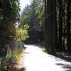 Redwood Gulch Road.