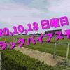 2020,10,18 日曜日 トラックバイアス予想 (東京競馬場、京都競馬場、新潟競馬場)