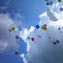 はっぴーはっぴー人生