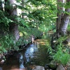 千川上水を歩く その１ 玉川上水分水口から上鷺宮