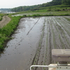 令和元年の田植え終了！