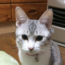 ひとりごとは黙って言う