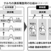 日経新聞（7/6）～20代でも管理職