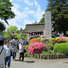 青梅市・塩船観音寺のつつじ