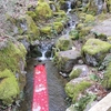 北陸の旅（その10：ゆのくにの森）