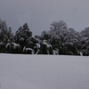 身辺雑記（積雪の様子と焼豚）