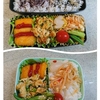 イカのタラコ和えとか弁当。