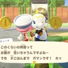 ニンテンドースイッチ あつまれ どうぶつの森 住人の謎の会話（タンタンとティーナさん）