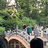 洗足池で春宵の響（しゅんようのひびき）。