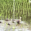 「分かってもらえなかった」の後遺症①