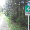 北本妙寺林道→本妙寺山緑地公園2025.7月③