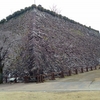 【延岡城】続日本100名城　通算29城目