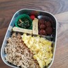 最近の二人　＆　夫弁当