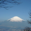 春の富士山遠望