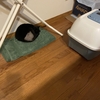 傷害事件発生　四日目