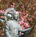 恵山のお寺　豊國寺のブログ　です