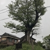 東海道五十三次ウォーキング　亀山宿〜関宿