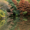 原生の森公園の紅葉