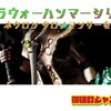 【塗装日記】週刊ウォーハンマーに付いてきた銅色がシブくて緑発光が不気味カッコいいやつを塗っていく【ネクロン クロノマンサー】