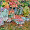 松山城の紅葉