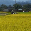 豪雨災害支援金の決算をしました