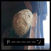 社会性のない一匹狼