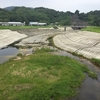 狩野川放水路を歩道橋から眺める