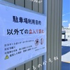 今ではここまで登ってくるようになりました。という話。