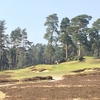 イギリスゴルフ #118｜Swinley Forest Golf Club｜ハリー・コルトの「最も悪くない」コース